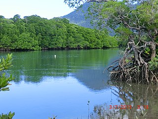 Diwan, Queensland Suburb of Shire of Douglas, Queensland, Australia