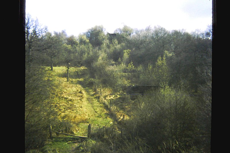 File:Dowery Dell viaduct (remains) - geograph.org.uk - 1702638.jpg