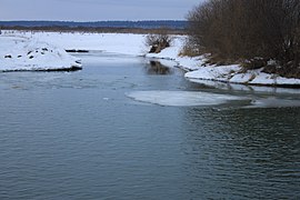 Wiks va Tyoca kuksa