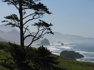 Ecola State Park State park in Oregon, United States