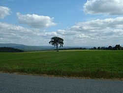 Поля равнины Эгремонт, смотрящие на северо-восток в сторону южных Беркшир.
