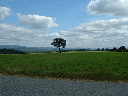 Egremont Plain