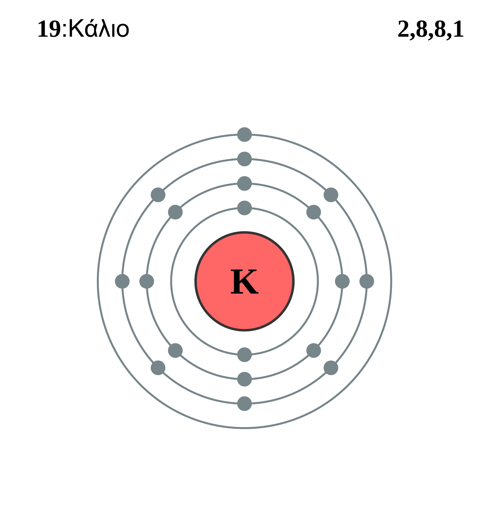 bohr diagram for potassium