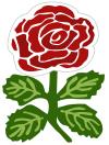 The red rose emblem has been used by the RFU since 1871 England rugby shirt rose 1871.svg