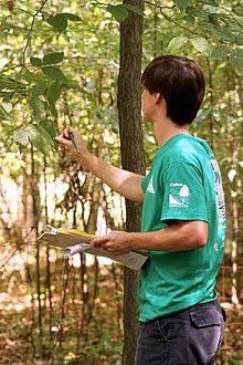 Forestry Testing during the Envirothon Competition. Envirothon Forestry Test 2012.jpg