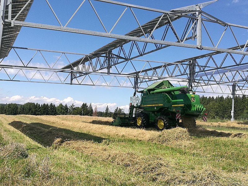 File:Ernte Agrophotovoltaikanlage.jpg