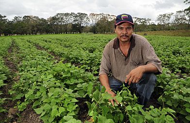 'n Trotse boer sit in sy boontjieland in Nicaragua