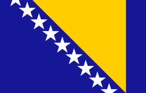 Flag of Bosnia and Herzegovina 2-3.gif