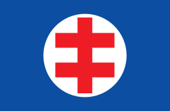 Flag of the Hlinka party (1938–1945) variant 2.svg