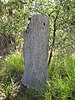 Magnetic termite mound