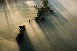 Foggy sunrise in High Fläming Nature Park1