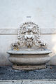 * Nomination Fountain in Piazza farnese --Livioandronico2013 20:55, 15 November 2014 (UTC) * Promotion Good quality. --Tuxyso 22:54, 15 November 2014 (UTC)