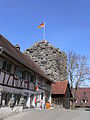 Burg Fronhofen