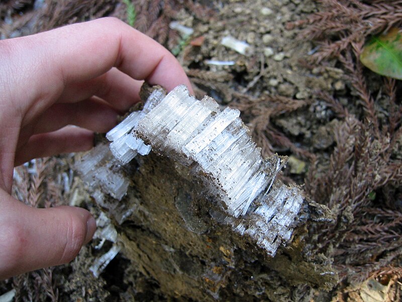 File:Frost column 2.jpg