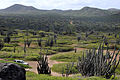 "GENERAL_VIEW_OF_THE_PARK_FROM_MALMOK_LIGHTHOUSE.jpg" by User:KLOTZ