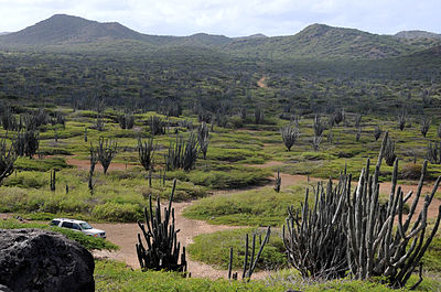 Bonaire: Etymologie, Mythologie, Geschiedenis