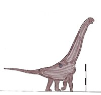 Gannansaurus sinensis