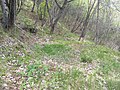 Mount Tavagnone, barnyard of a charcoal pile located on the trail from Bocca alla Croce to Tavagnone