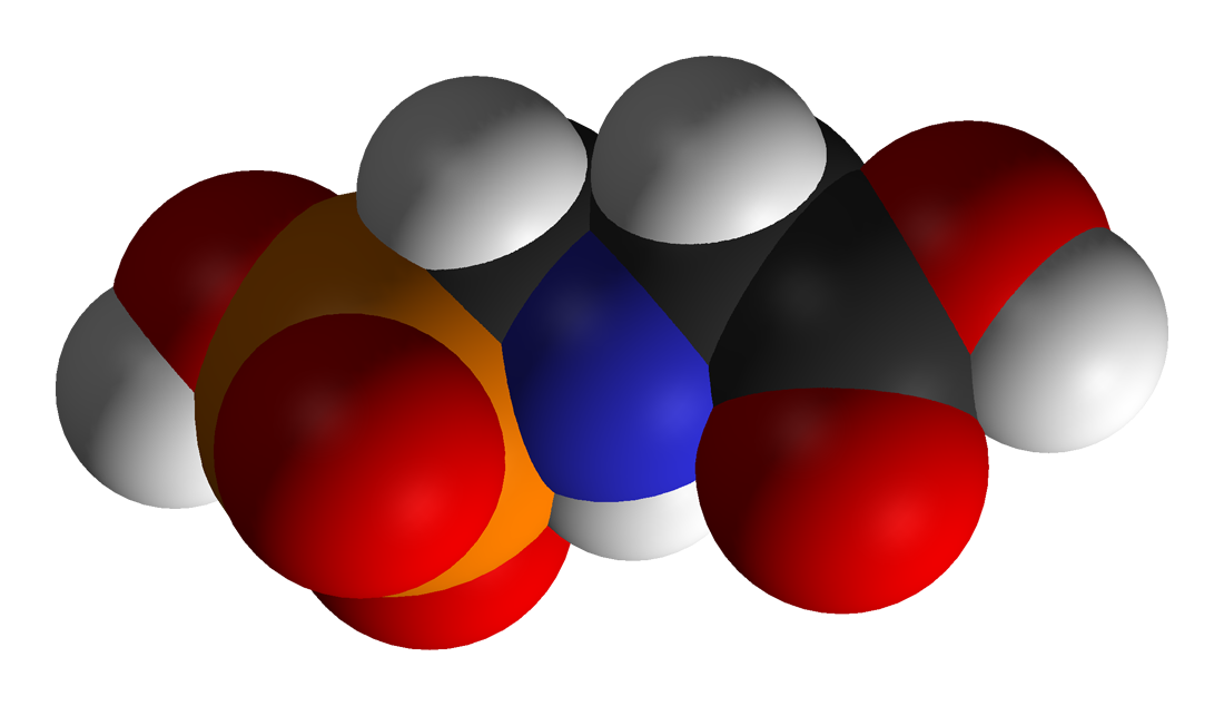 File:Glyphosate-3D-vdW.png