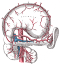 Thumbnail for Short gastric arteries