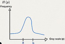 Figure 1 Gray level histogram.jpg