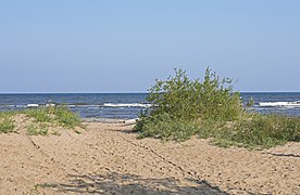 Great Slave Lake beach in Hay River 1.jpg