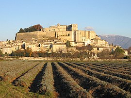 View of Grignan and its castle, with a lavender field in the foreground
