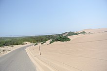 Guadalupe-Nipomo Dunes Guadalupe Dunes County Park road.JPG