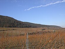 Meeting point of the Haardt and the Upper Rhine Plain