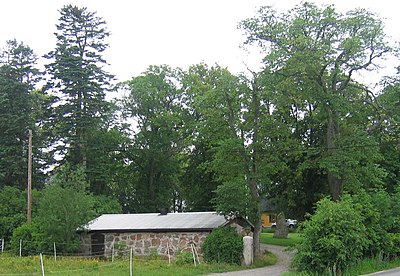 Piedras rúnicas de Hagby