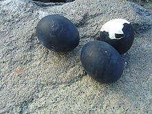 Kuro-tamago, a variety of hard-boiled egg local to Owakudani in Kanagawa Prefecture, Japan. The eggs are boiled in the mineral-rich water of the valley's hot springs, resulting in the shells turning a characteristic black colour. Hakone black egg dsc05310.jpg