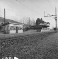 Deutsch: Haltestelle Niederweningen-Dorf mit altem Bahnhof Niderweningen im Jahre 1975