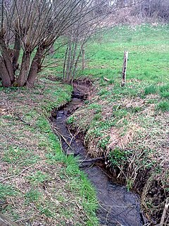 Hammerbach (Freital) river of Germany