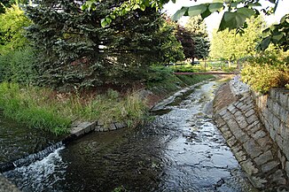 Mouth of the Hauswald stream (above) into the Große Röder (left)