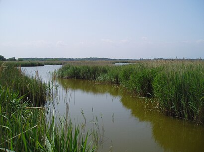 How to get to Hickling Broad with public transport- About the place