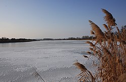 Šumický rybník (leden 2013)