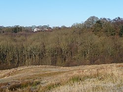 Hunthouse Wood - geograph.org.uk - 1103840.jpg