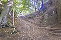 wikimedia_commons=File:Im Wald nahe der Elfengrotte bei Eisenach 2.jpg