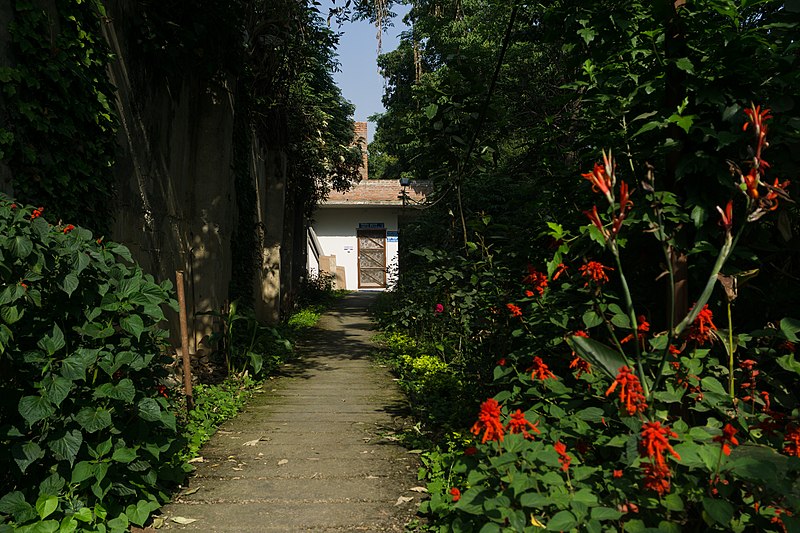 File:In Kirtipur Vipassana Center - Dhamma Kitti 1 May 2019 2.jpg