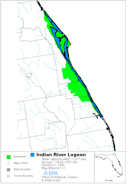 Indianriverlagoon.GIF