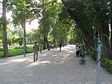 Iran (Tehran)