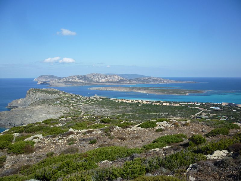 File:Isola dell'Asinara - vista da Torre del Falcone.JPG