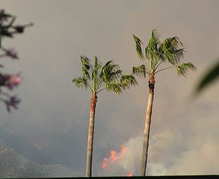 Jesusita Fire 2009 wildfire in Santa Barbara, California