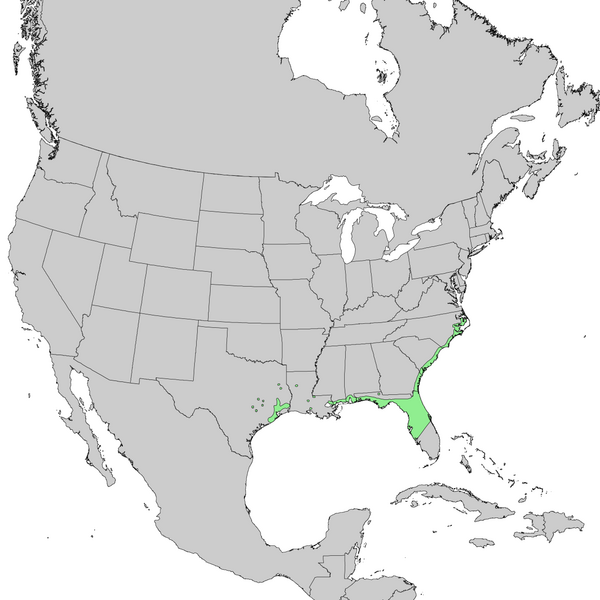 File:Juniperus virginiana var silicicola range map 1.png