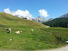 Kammerlinghorn und Alpelhorn, Berchtesgadener Alpen