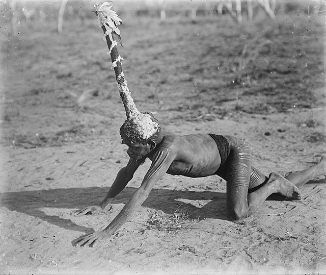 Kolaia man wearing a headdress worn in a fire ceremony, Forrest River, Western Australia. Aboriginal Australian religious practices associated with th