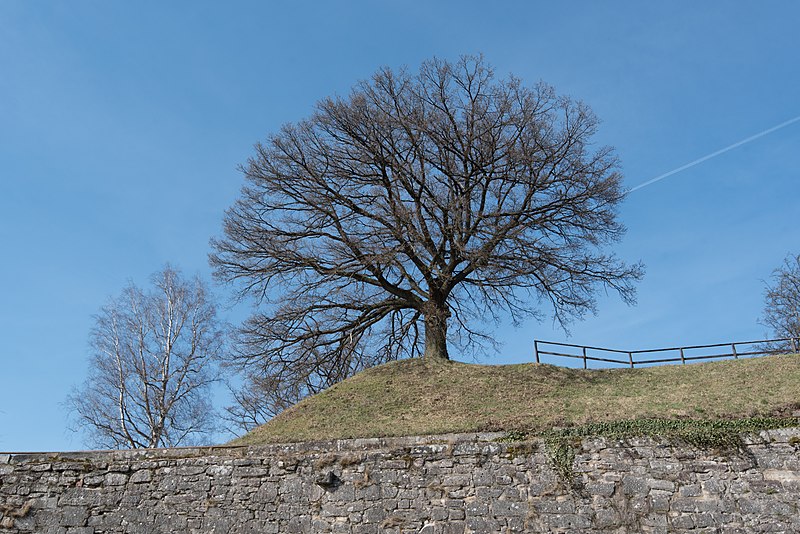 File:Kronach, Festung Rosenberg, Mittlere Wallgraben 20170325 003.jpg