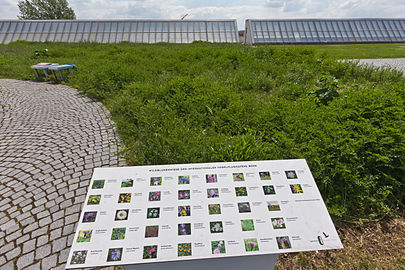 bundeskunsthalle dokumentation