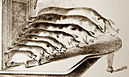 Bild einer fiktiven Schweineorgel (Ausschnitt), 1867