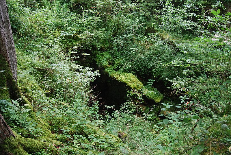 File:Lajoux Muelejo sub Etang Sous le Crât 125.JPG